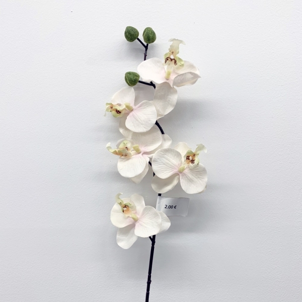 Tige Orchidée Crème 75 cm