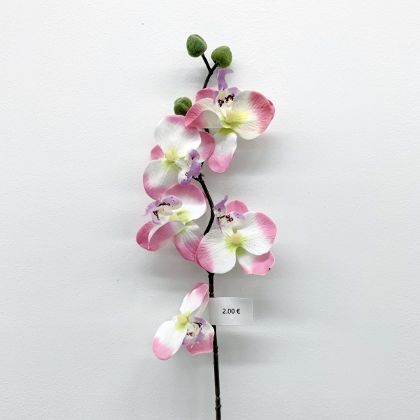 Tige Orchidée Rose et Blanc 75 cm