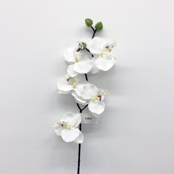Tige Orchidée Blanche 75 cm