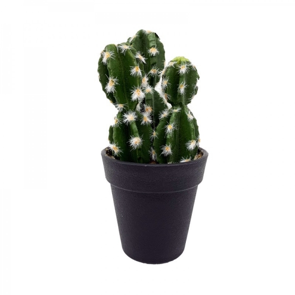 Petit pot cactus 18 cm