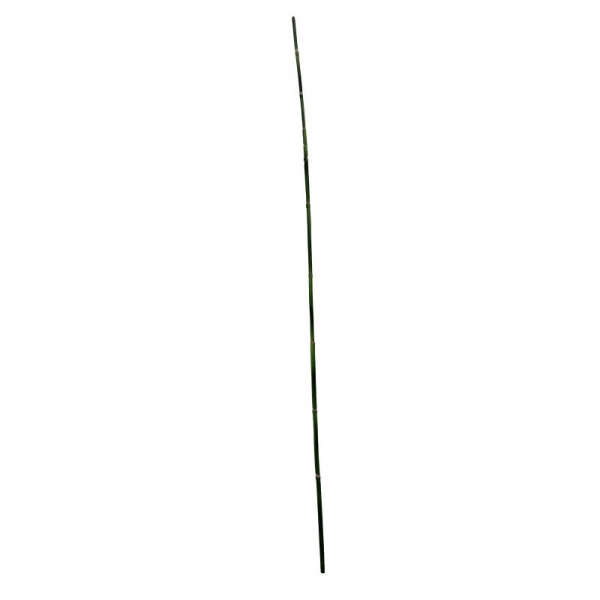 Tige bambou 80cm