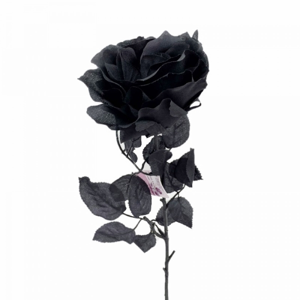 Tige rose noir 60cm