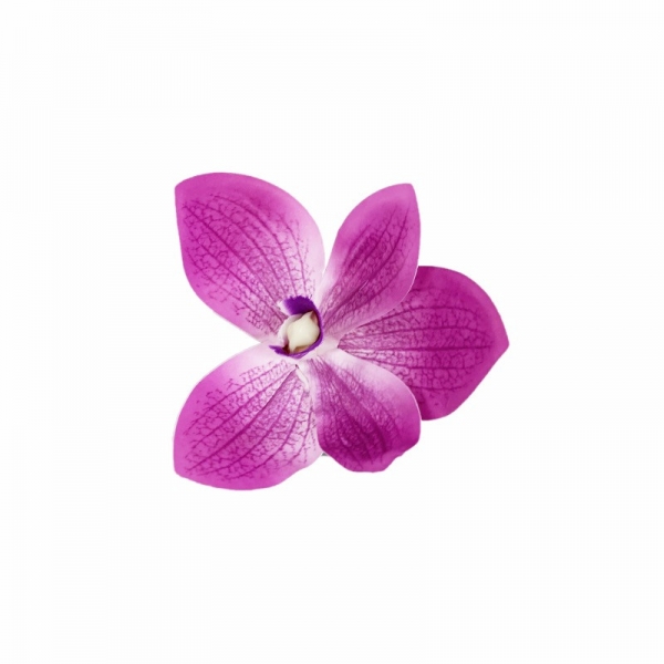 Tête d'orchidée toucher naturel ø 8cm mauve