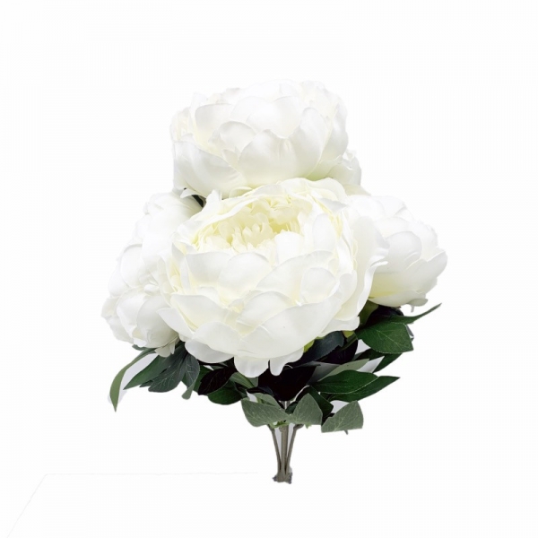 Bouquet x5 pivoines blanc ø 12cm