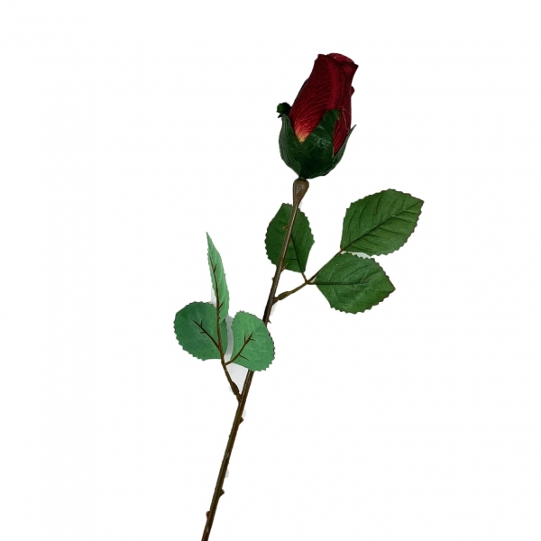 Rose bordeaux 75cm