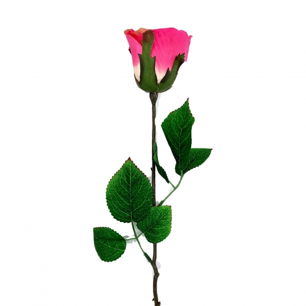 Rose fuchsia 68cm