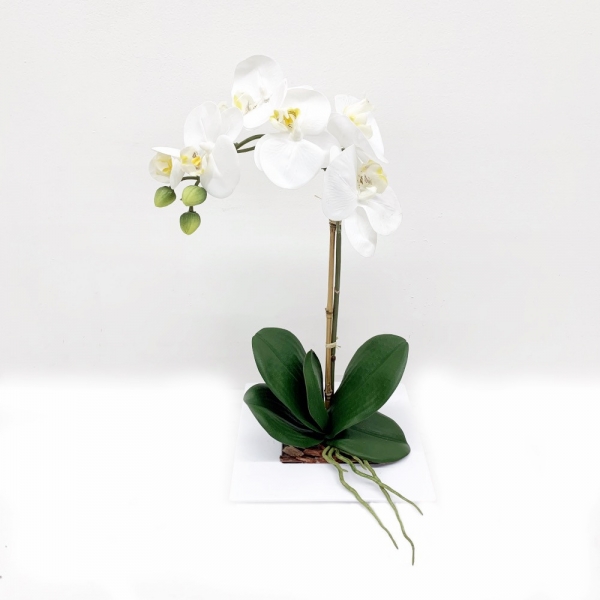 Plateau carre blanc orchidée H 40 cm