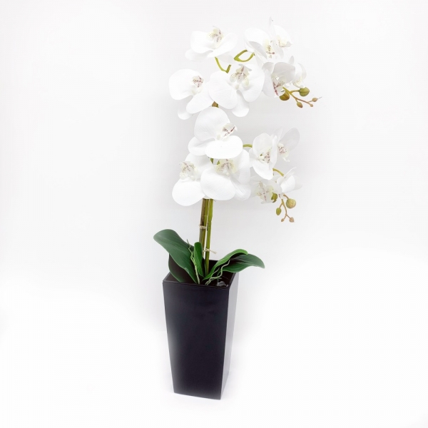 Pot 2 orchidées Blanches H 75 cm