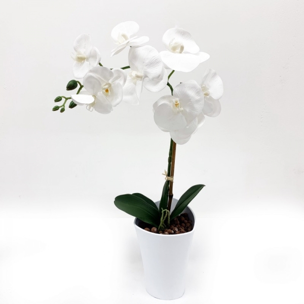 Pot d’orchidées Blanches H 60 cm