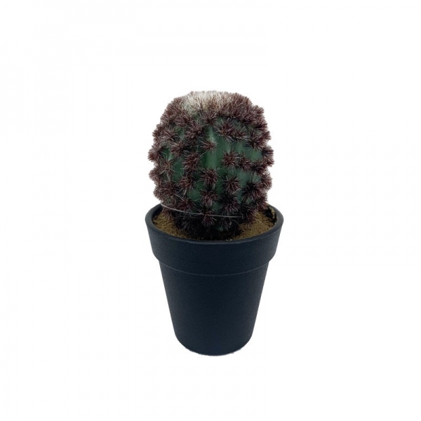 Petit pot cactus 18cm