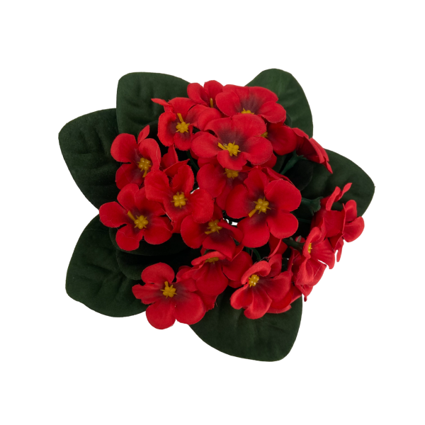Bouquet Primevère 16cm Rouge