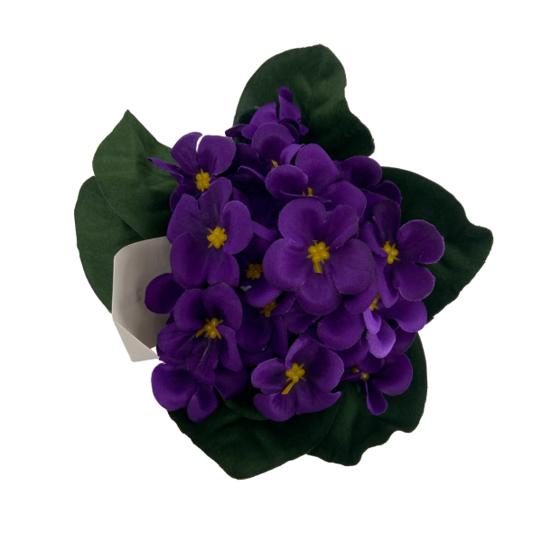 Bouquet Violettes 16cm