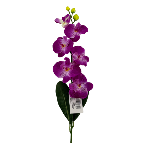 Tige orchidée Violet 70cm