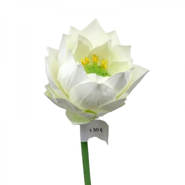 Tige fleur de lotus 72 cm