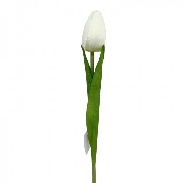 Petite tulipe Blanc 47 cm
