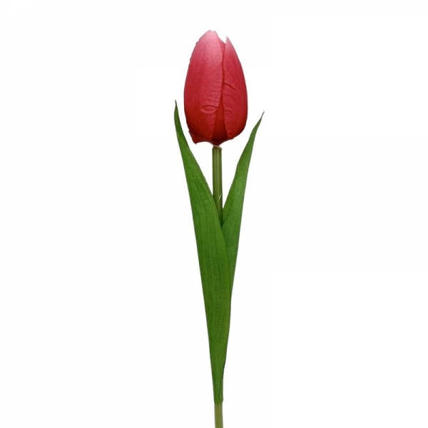 Petite tulipe Fuchsia 47 cm