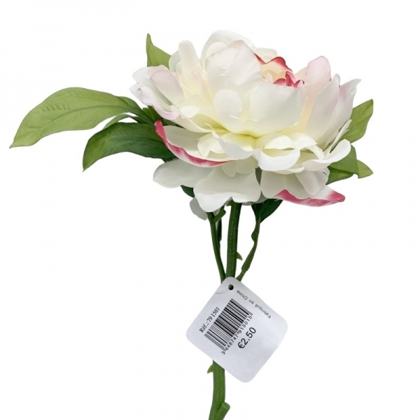 Tige courte Pivoine 27 cm Blanc et rose