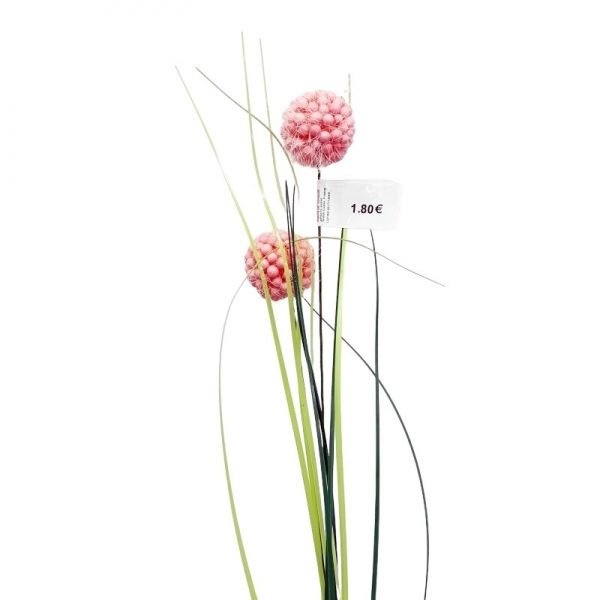 Tige fleur de prairie par 2 Saumon 70 cm