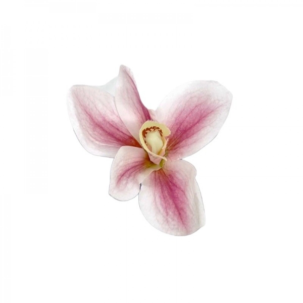 Tête d'orchidée toucher naturel ø 8cm rose clair