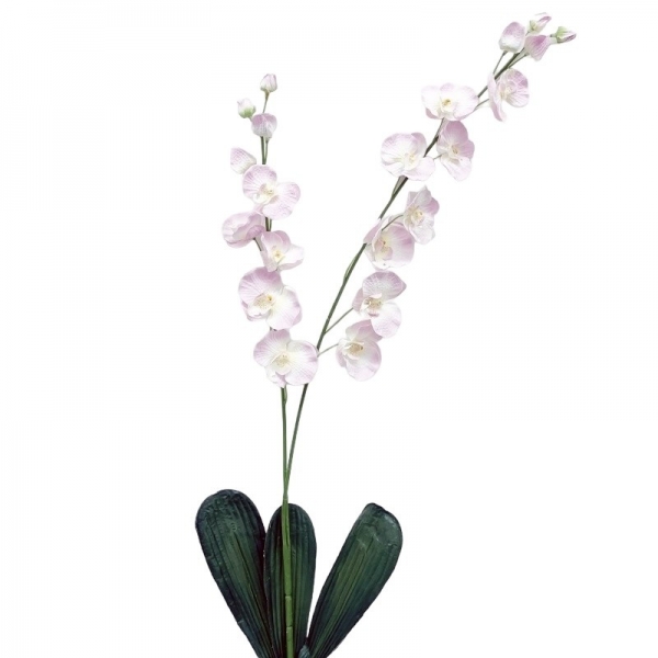 Tige Orchidée double 3 feuilles blanc et rose 80 cm
