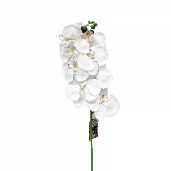 Tige orchidée Blanche H 75 cm