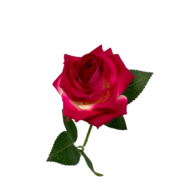 Tige Rose Touché Velours Fuchsia