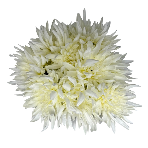 Tige de Chrysanthème Eco Blanc