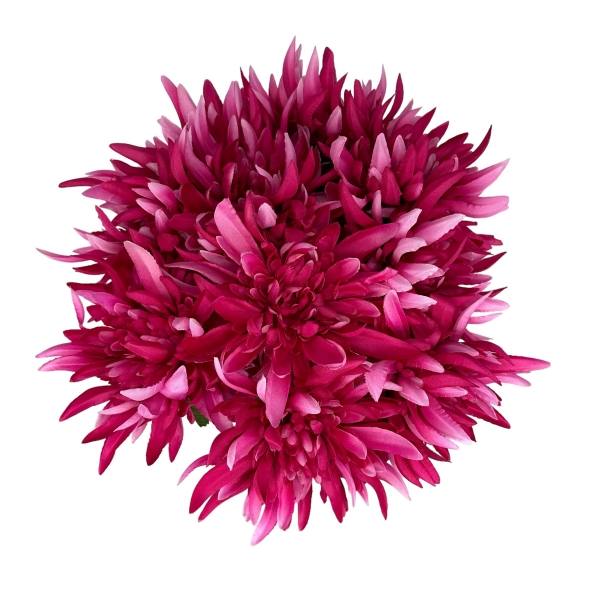 Tige de Chrysanthème Eco Fuchsia
