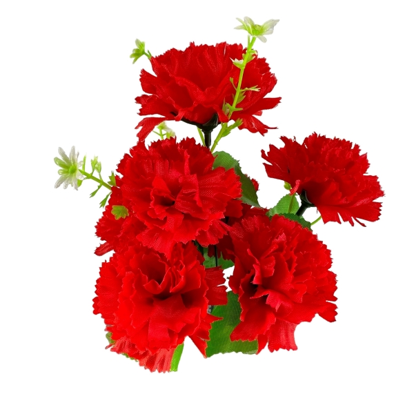 Bouquet d'Oeillets Rouge