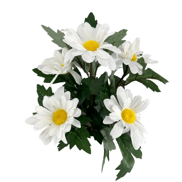 Bouquet de Marguerites Blanc
