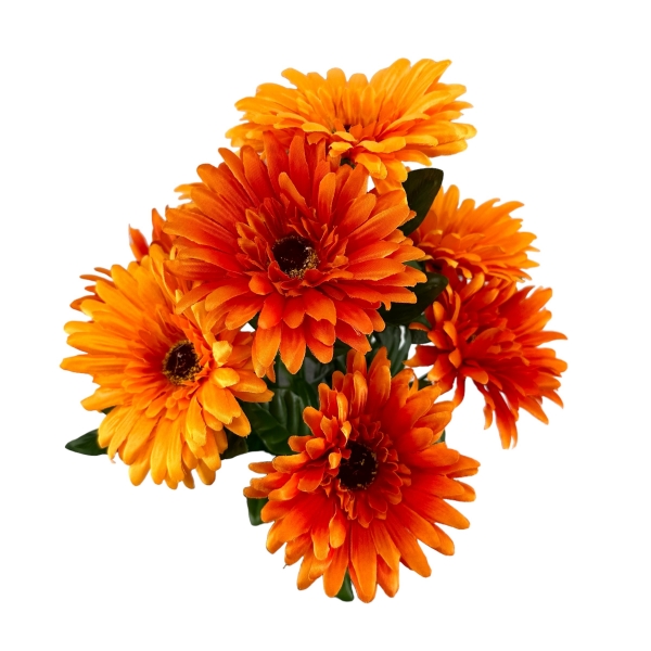 Bouquet de Gerberas Orange