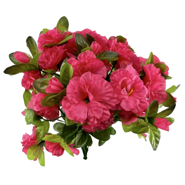 Bouquet d'Azalées Fuchsia