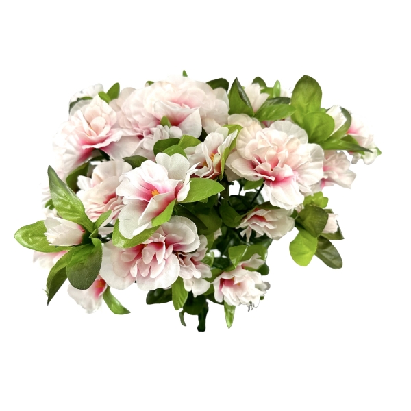 Bouquet d'Azalées Blanc / Rose