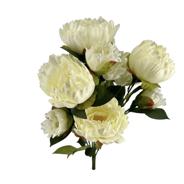 Bouquet de Pivoines Blanc