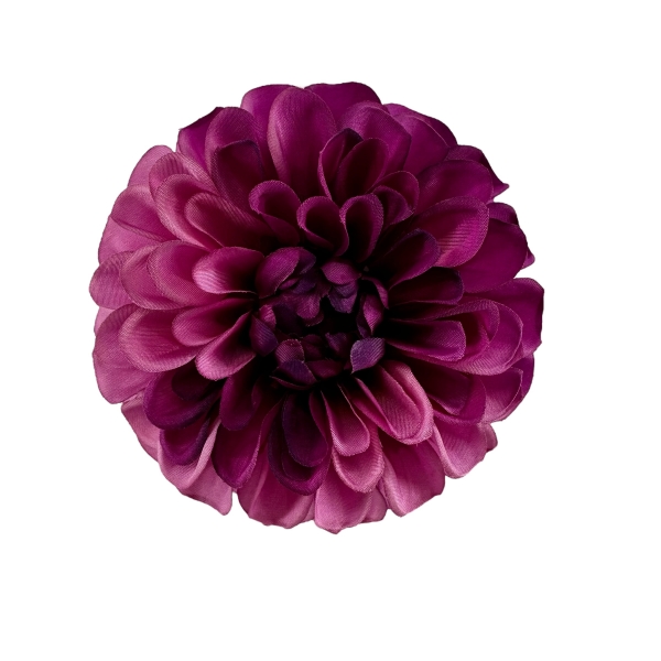 Tête de Zinnia Violet Ø : 10cm