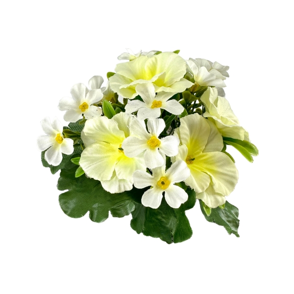 Bouquet de Primevères Blanc