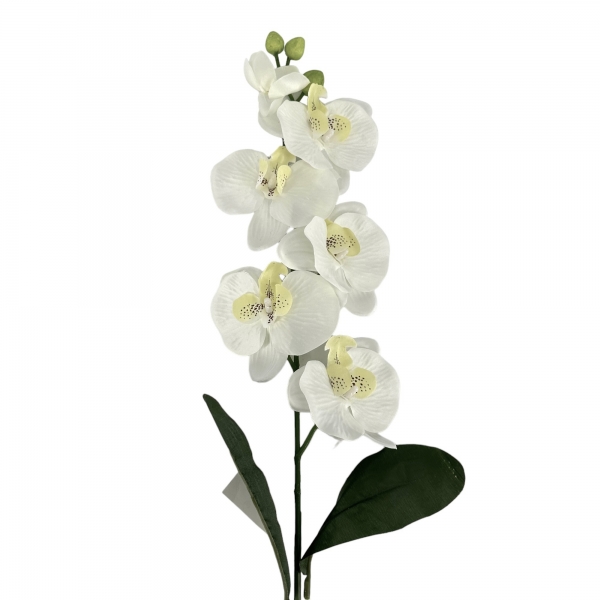 Tige d'Orchidées avec feuilles 70cm