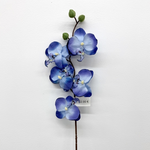 Tige Orchidée Bleu 75 cm