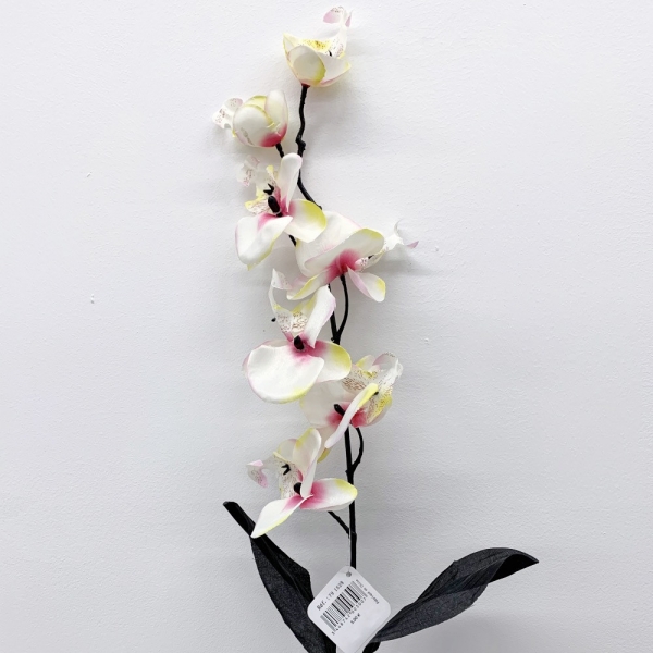 Tige orchidée Blanc et Rose avec feuilles noir 75 cm