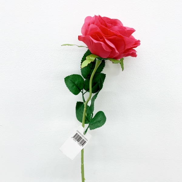 Tiges rose Rose 50 cm