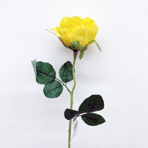 Tiges rose Jaune 50 cm